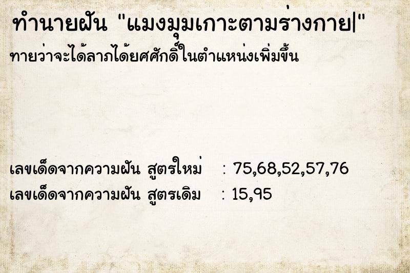 ทำนายฝันทำนายฝันแมงมุมเกาะตามร่างกาย|
